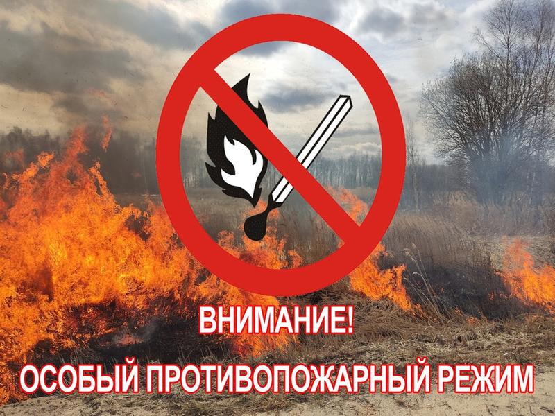 Об установлении особого противопожарного режима на территории Томской области с 1 июля по 31 июля 2025 года.