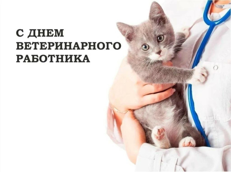 С профессиональным праздником – Днем ветеринарного работника!. С профессиональным праздником – Днем ветеринарного работника!.